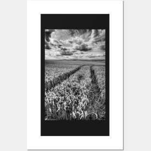 Waves Of Grain Black And White Posters and Art